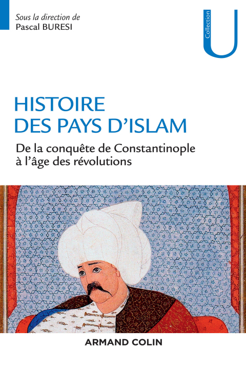 Cover image for book Histoire des pays d'Islam