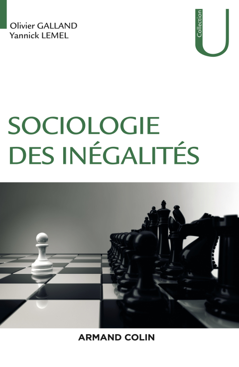 Cover image for book Sociologie des inégalités