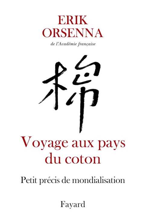 Cover image for book Voyage aux pays du coton