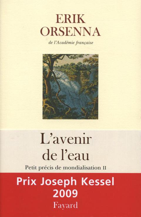 Cover image for book L'Avenir de l'eau. Petit précis de mondialisation n°2