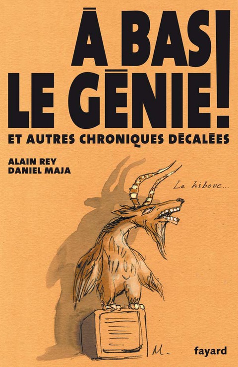 Cover image for book A bas le génie !