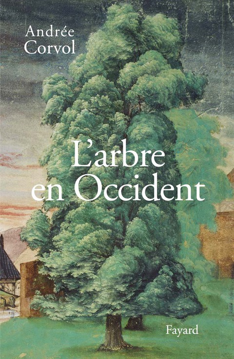 Cover image for book L'Arbre en Occident