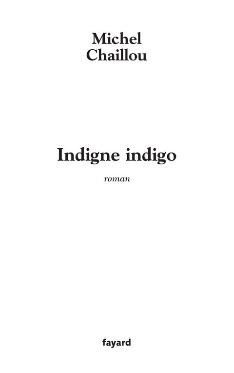 Cover image for book Indigne indigo
