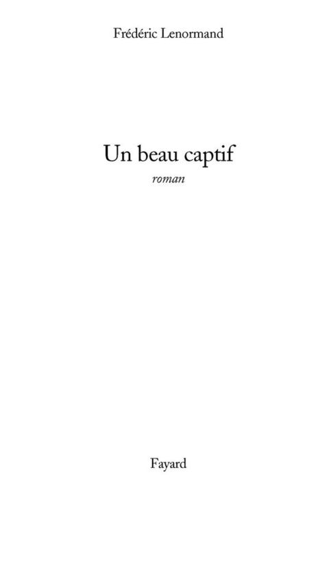 Cover image for book Un beau captif