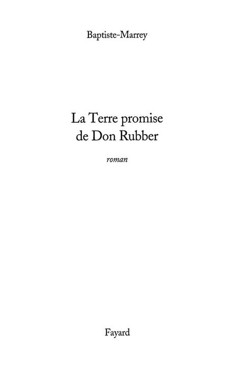 Cover image for book La Terre Promise de Don Rubber