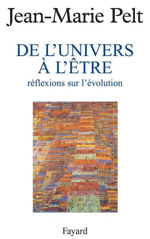 Cover image for book De l'Univers à l'être