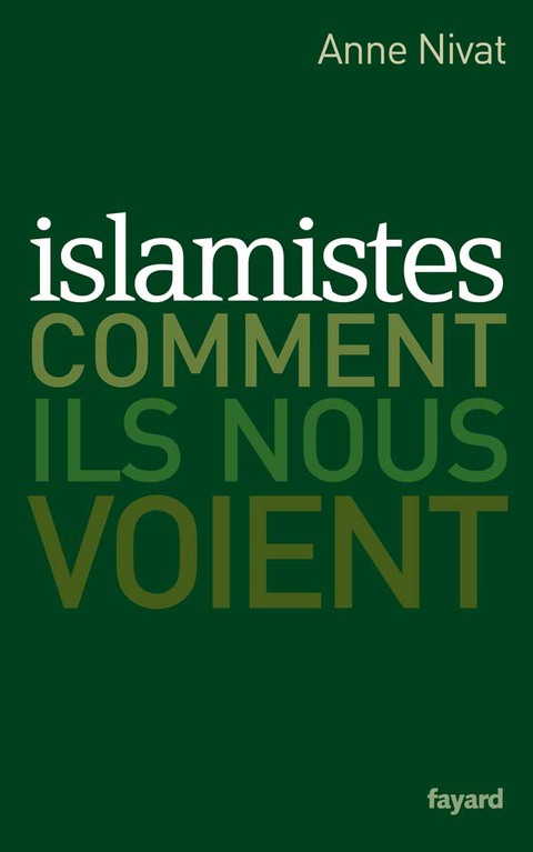 Cover image for book Islamistes : comment ils nous voient