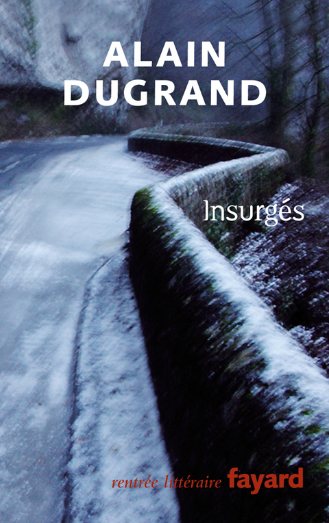 Cover image for book Insurgés
