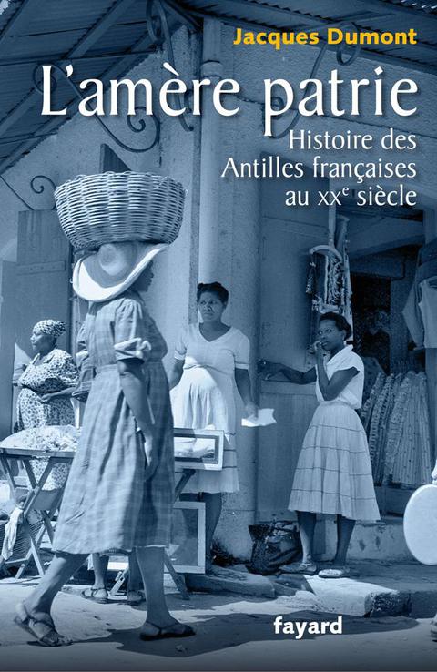 Cover image for book L'amère patrie.