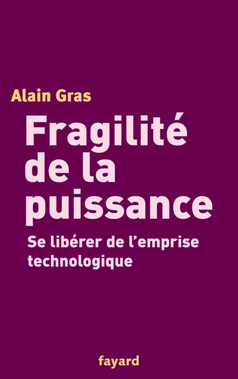 Cover image for book Fragilité de la puissance