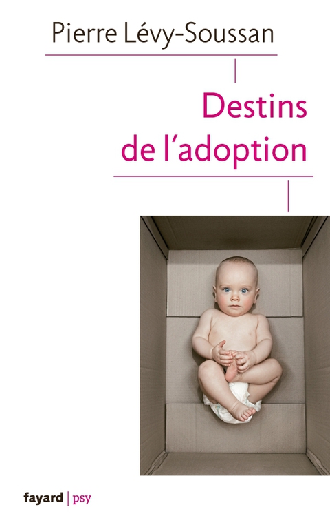Cover image for book Destins de l'adoption