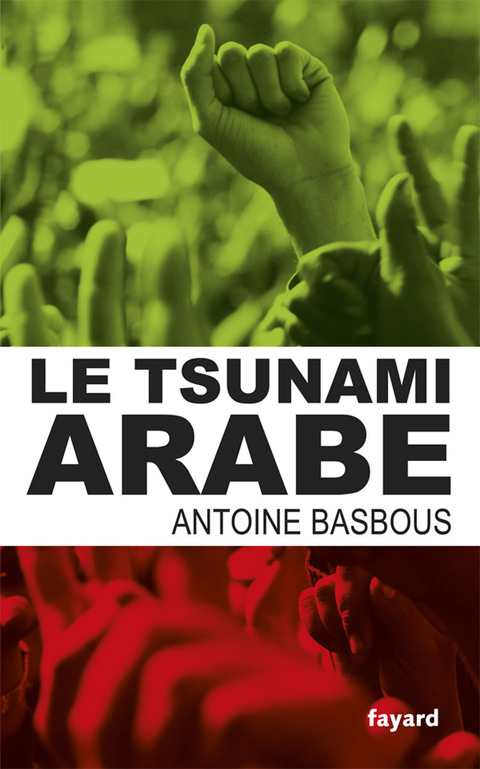 Cover image for book Le tsunami arabe