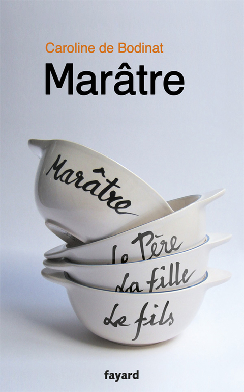 Cover image for book Marâtre