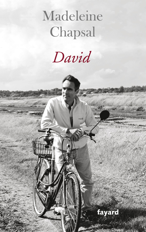 Cover image for book David