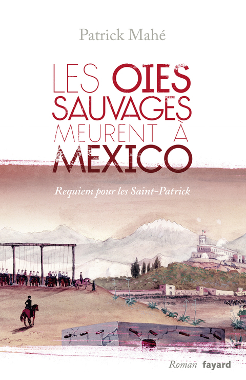 Cover image for book Les oies sauvages meurent à Mexico