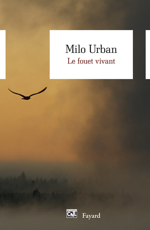 Cover image for book Le fouet vivant
