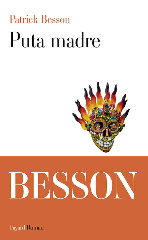 Cover image for book Puta madre