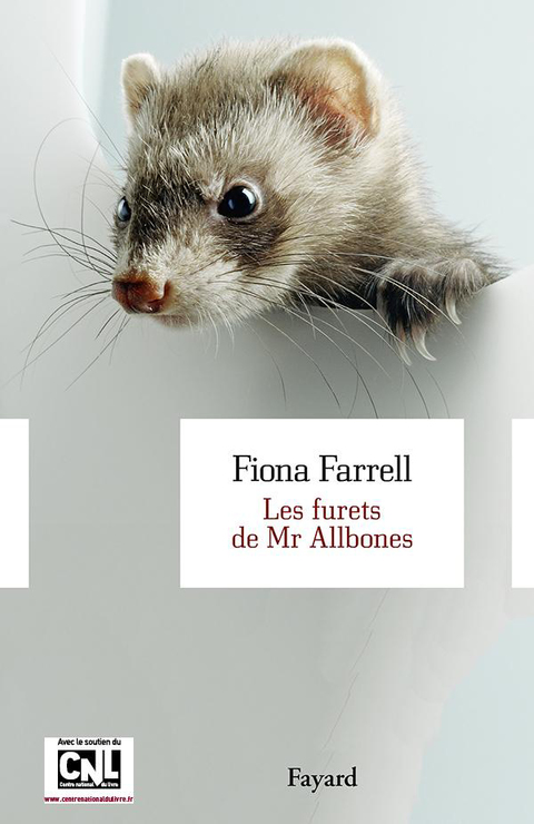 Cover image for book Les furets de Mr Allbones