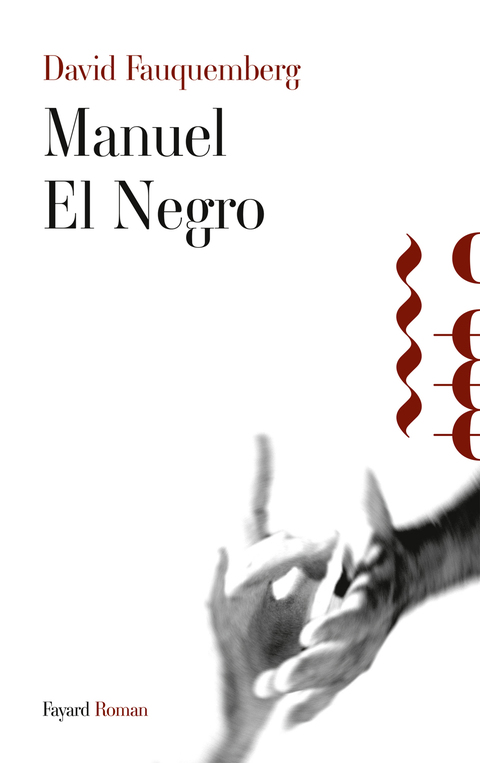 Cover image for book Manuel El Negro