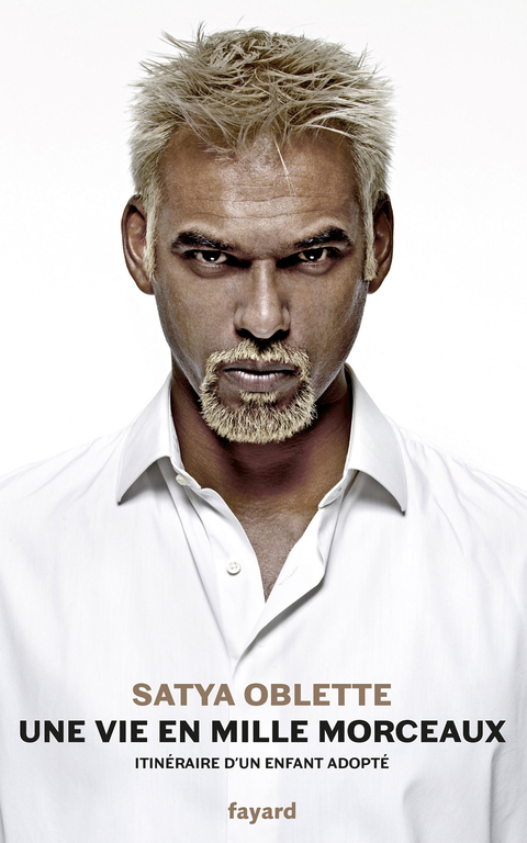 Cover image for book Une vie en mille morceaux