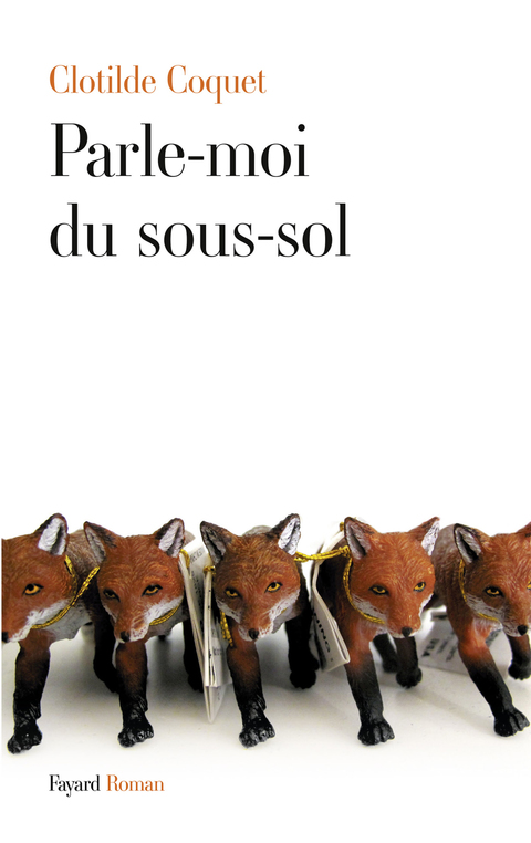 Cover image for book Parle-moi du sous-sol
