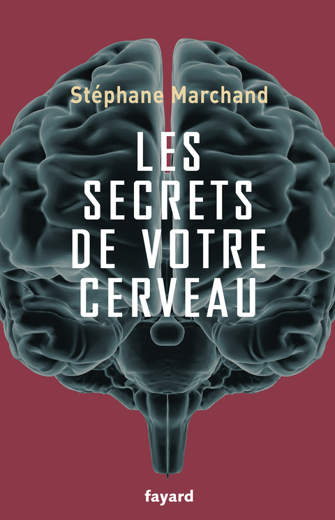 Cover image for book Les secrets de votre cerveau