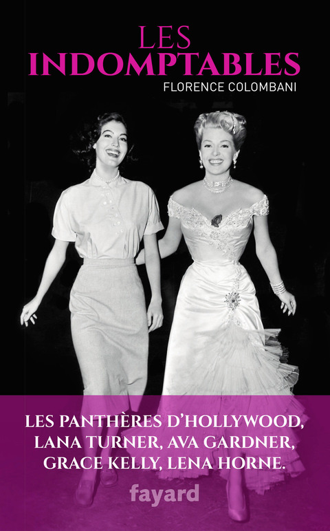 Cover image for book Les indomptables