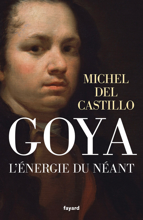 Cover image for book Goya