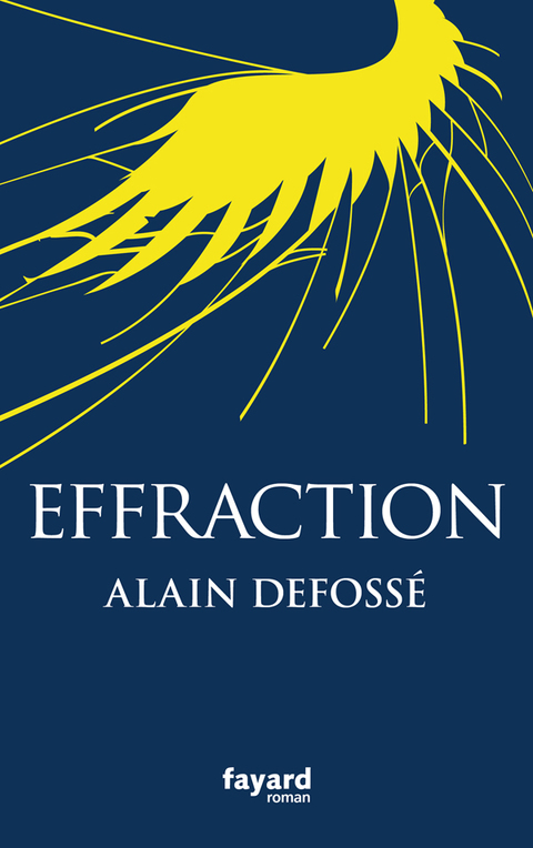 Cover image for book Effraction