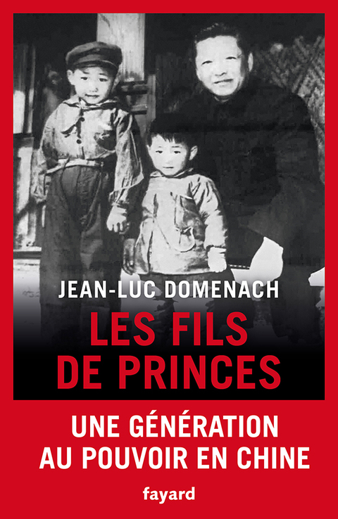 Cover image for book Les fils de princes