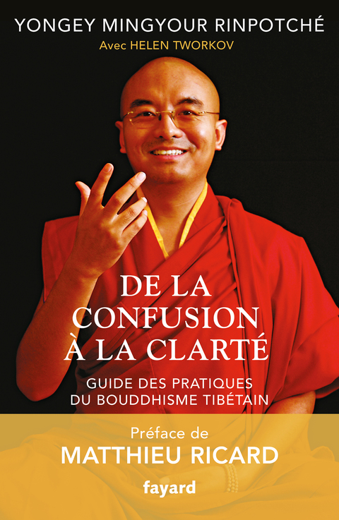 Cover image for book De la confusion à la clarté