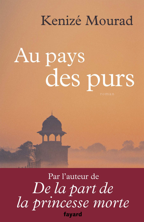 Cover image for book Au pays des purs