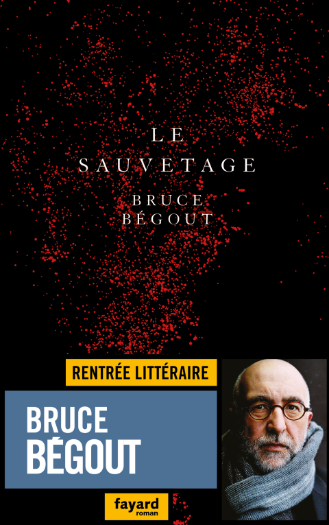Cover image for book Le sauvetage