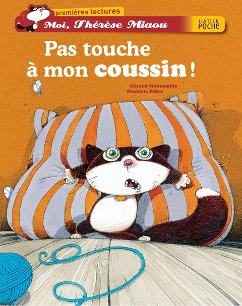 Cover image for book Pas touche à mon coussin !