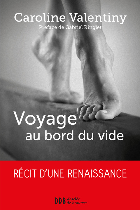 Cover image for book Voyage au bord du vide