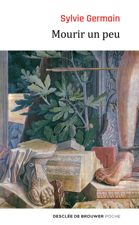 Cover image for book Mourir un peu