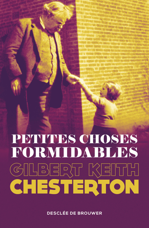 Cover image for book Petites choses formidables