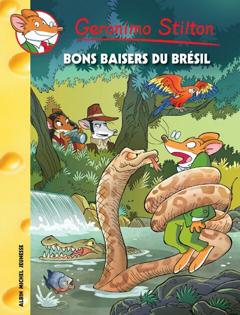 Cover image for book Bons baisers du Brésil