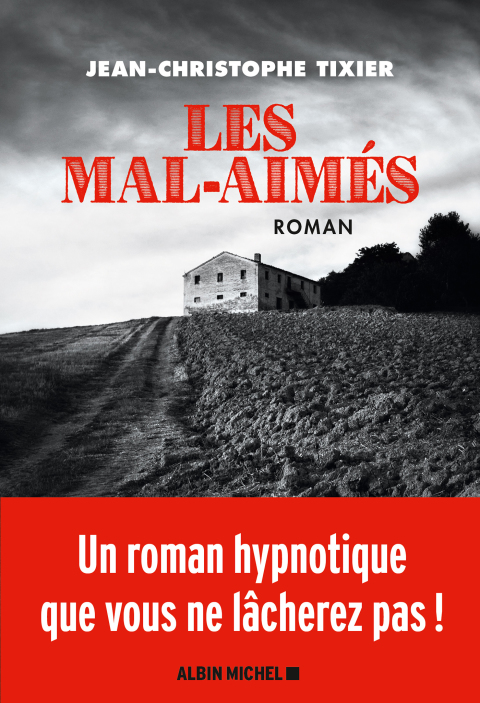 Cover image for book Les Mal-Aimés