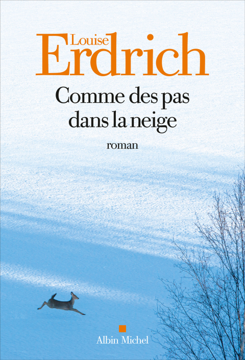 Cover image for book Comme des pas dans la neige