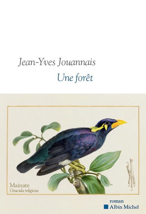 Cover image for book Une forêt