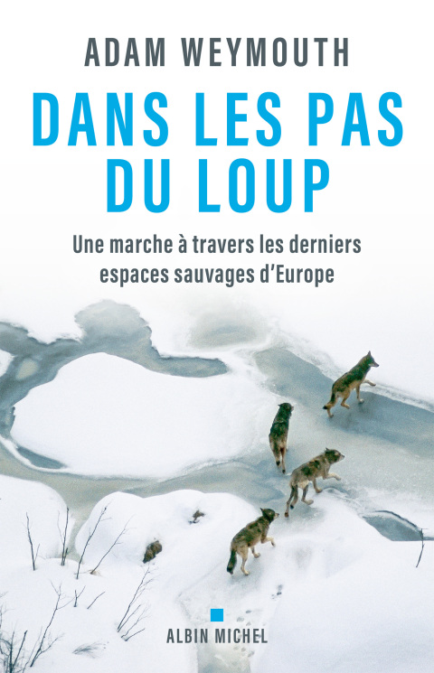 Cover image for book Dans les pas du loup
