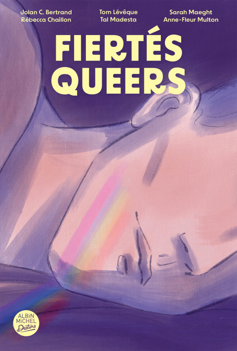 Cover image for book Fiertés queers
