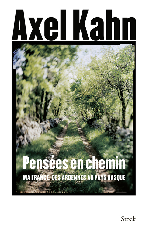 Cover image for book Pensées en chemin