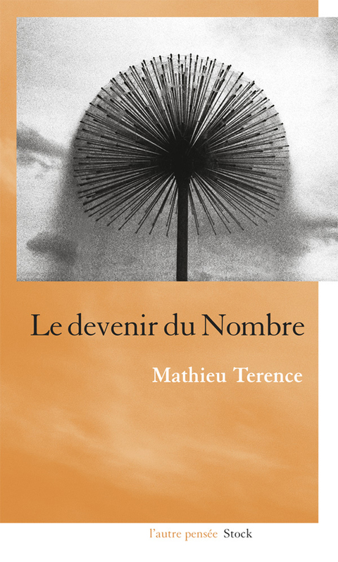 Cover image for book Le devenir du nombre