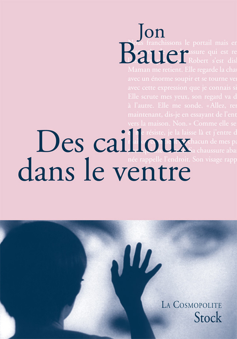 Cover image for book Des cailloux dans le ventre
