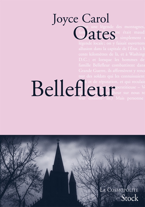 Cover image for book Bellefleur