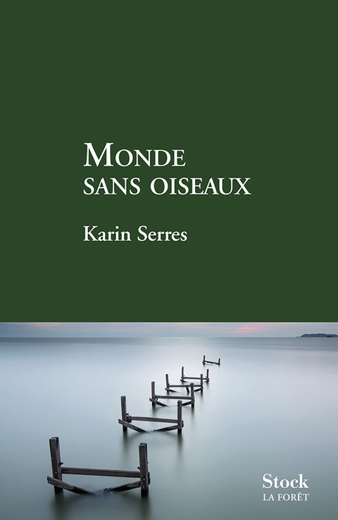 Cover image for book Monde sans oiseaux