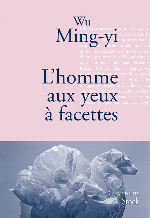 Cover image for book L'homme aux yeux à facettes