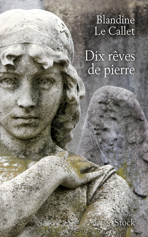 Cover image for book Dix rêves de pierre